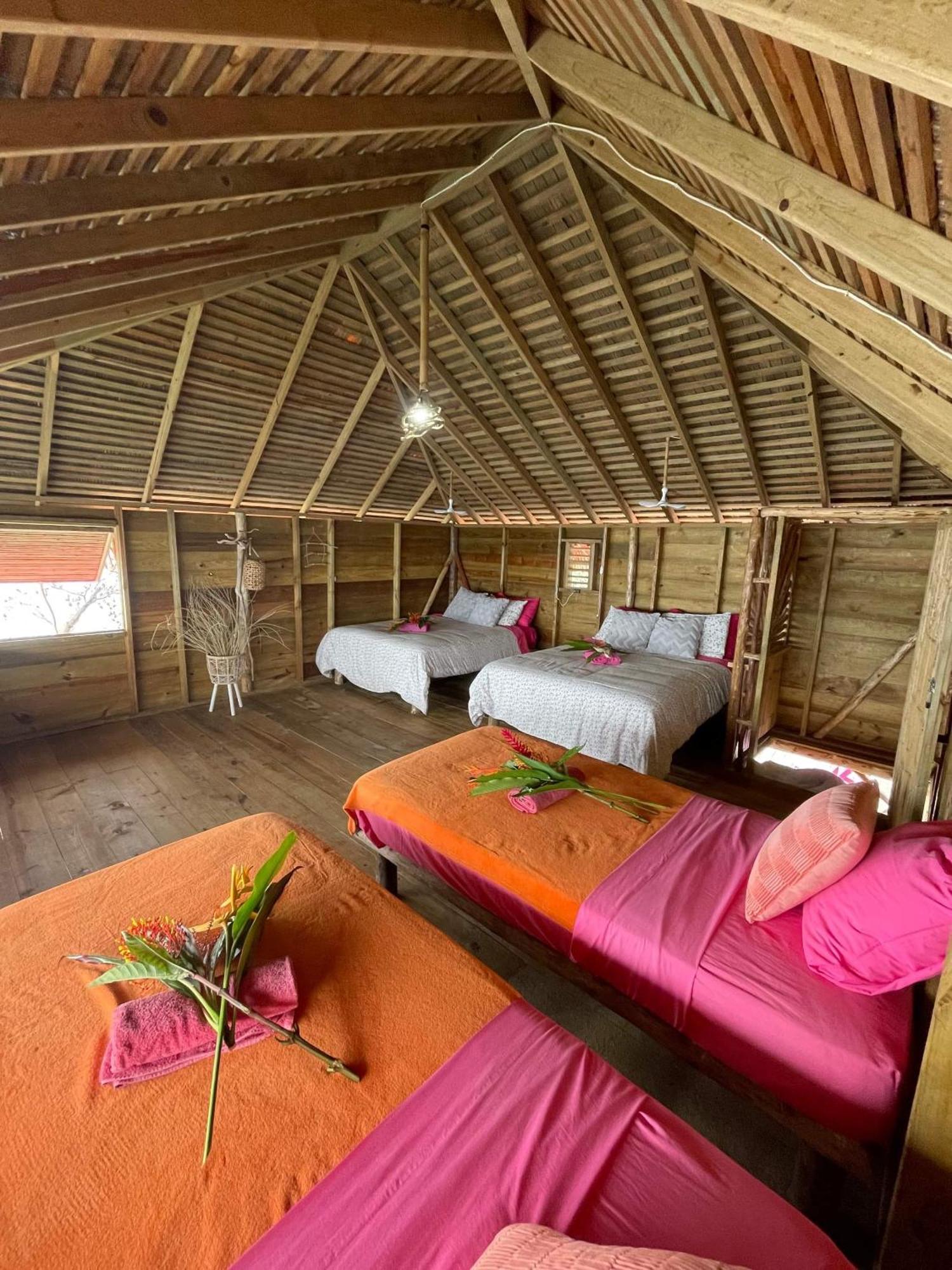 Urraca Monkey Island Eco Resort (Adults Only) Punta Laurel المظهر الخارجي الصورة
