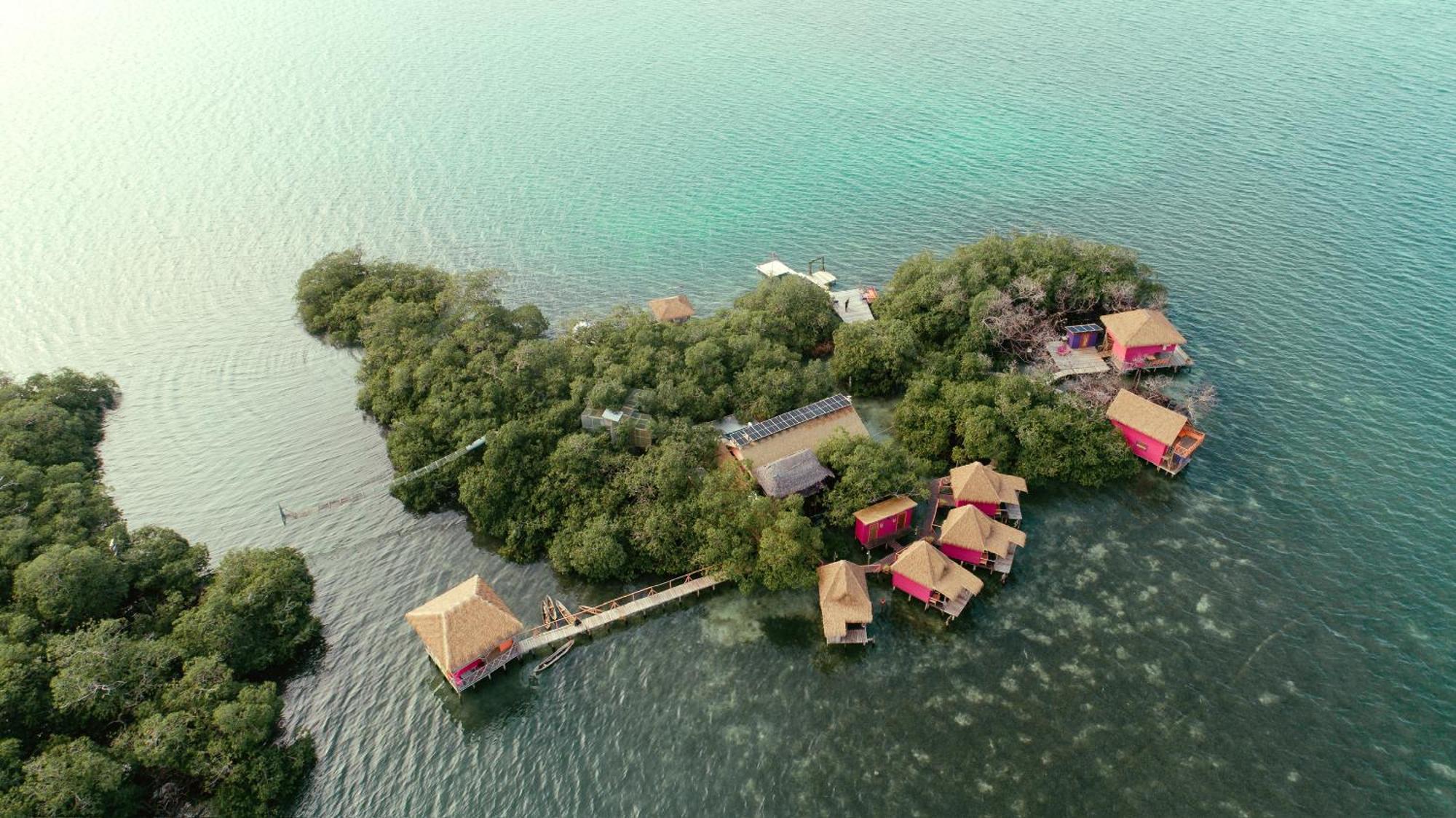 Urraca Monkey Island Eco Resort (Adults Only) Punta Laurel المظهر الخارجي الصورة