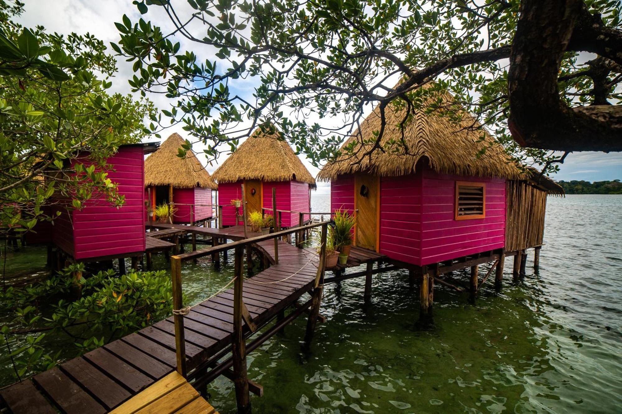 Urraca Monkey Island Eco Resort (Adults Only) Punta Laurel المظهر الخارجي الصورة