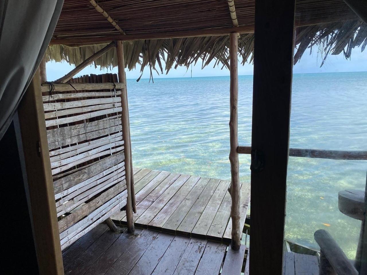 Urraca Monkey Island Eco Resort (Adults Only) Punta Laurel المظهر الخارجي الصورة