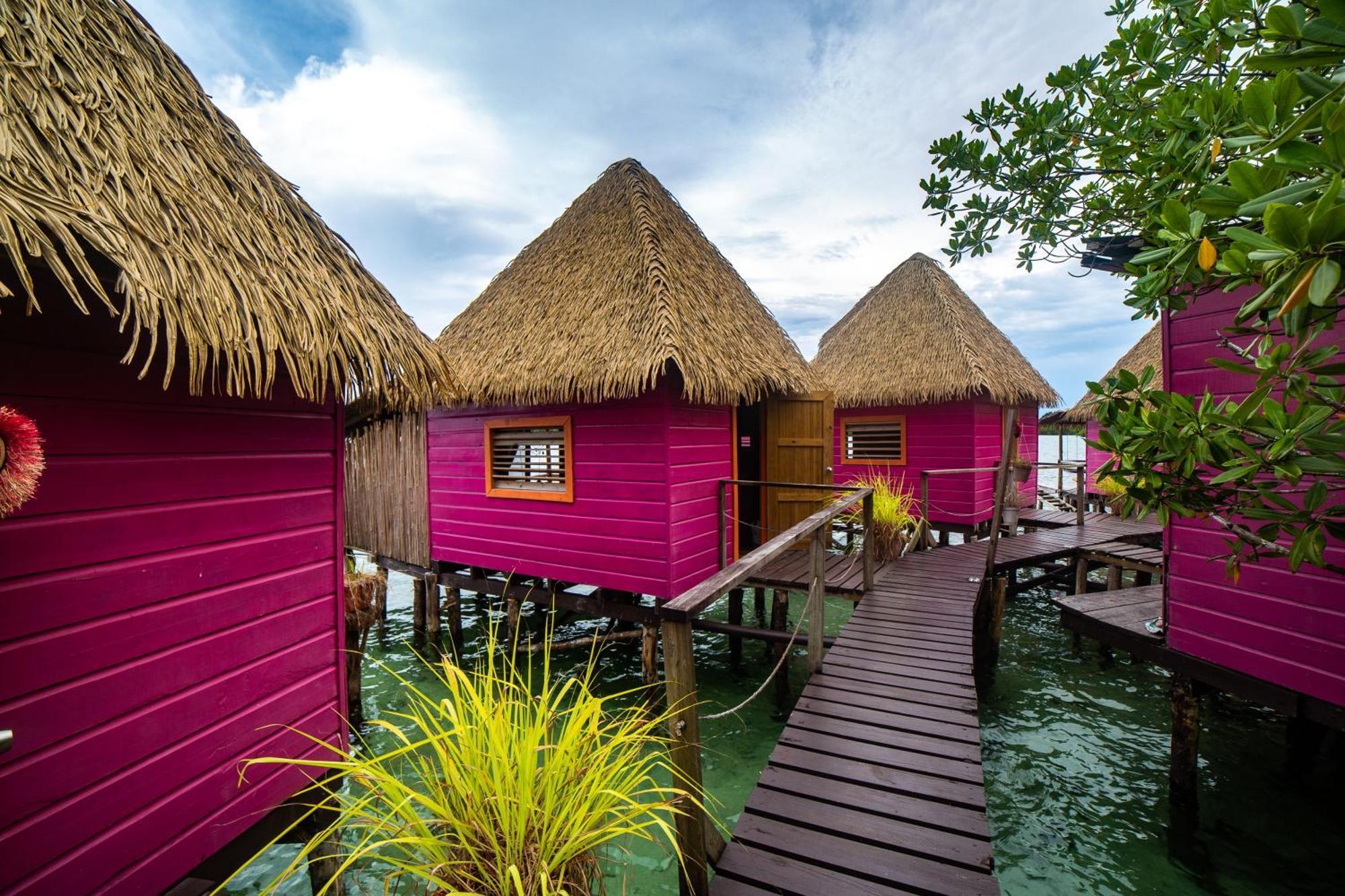 Urraca Monkey Island Eco Resort (Adults Only) Punta Laurel المظهر الخارجي الصورة