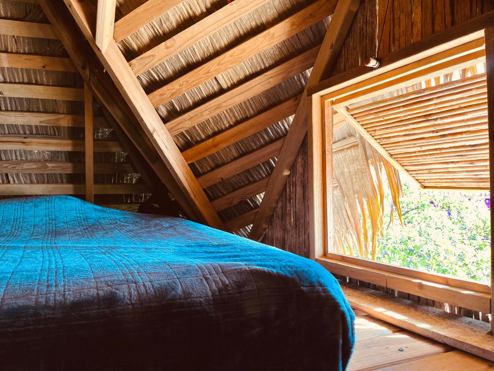 Urraca Monkey Island Eco Resort (Adults Only) Punta Laurel الغرفة الصورة