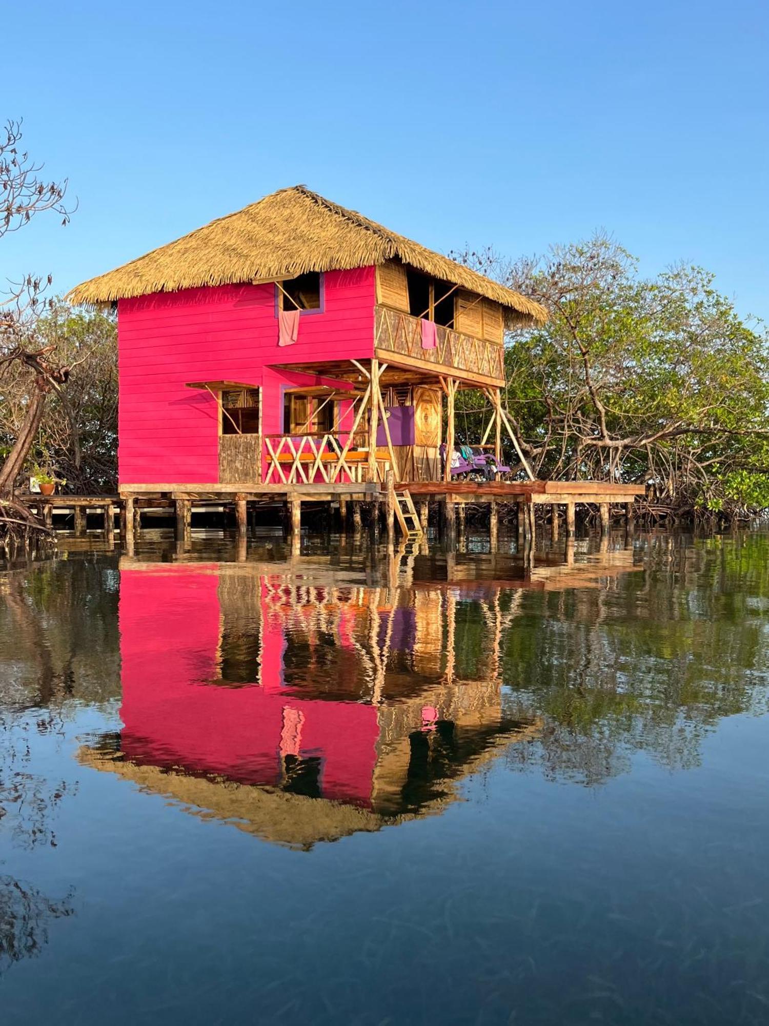 Urraca Monkey Island Eco Resort (Adults Only) Punta Laurel الغرفة الصورة